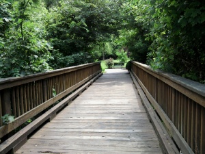 Walk Bridge Over River